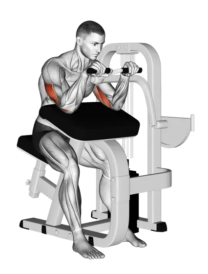 Machine Triceps Extension — movement illustration 1