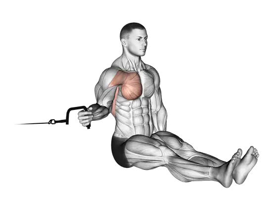 Cable Seated Shoulder Internal Rotation — movement illustration 1