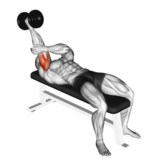 Dumbbell Lying Single-Arm Supinated Triceps Extension — movement illustration 1