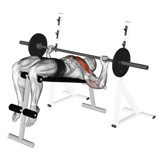 Barbell Decline Wide-Grip Press — movement illustration 1