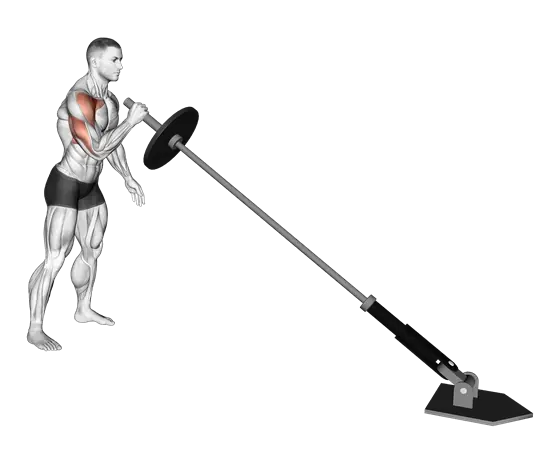 Landmine Single-Arm Press — movement illustration 1