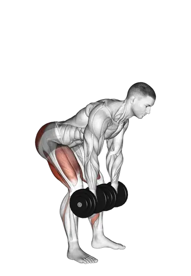 Dumbbell Romanian Deadlift — movement illustration 1