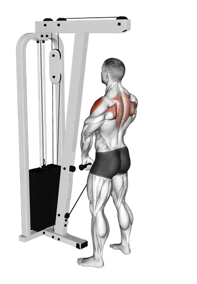 Cable Upright Row — movement illustration 1