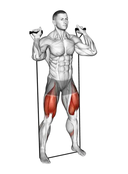 Resistance Band Squat — movement illustration 1