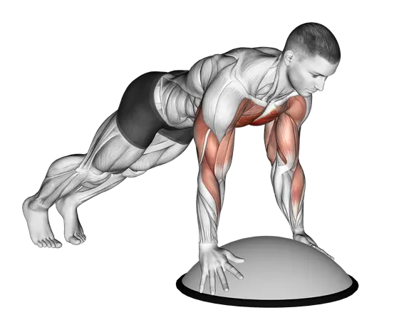 Push-Up on BOSU Ball — movement illustration 1