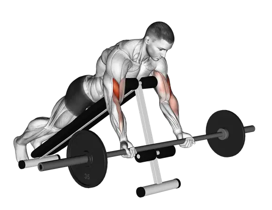 Barbell Prone Incline Curl — movement illustration 1