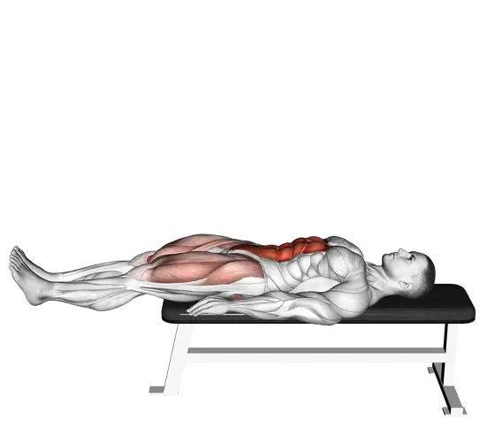 Lying Leg Raise Flat Bench — movement illustration 1