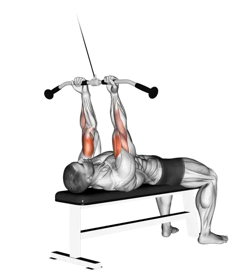 Cable Lying Close-Grip Curl — movement illustration 1
