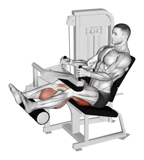 Machine Seated Leg Curl — movement illustration 1