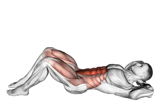 Sit-Up — movement illustration 1