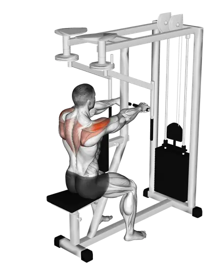 Machine Seated Reverse Fly — movement illustration 1