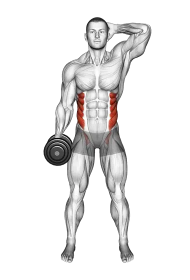 Dumbbell Side Bend — movement illustration 1