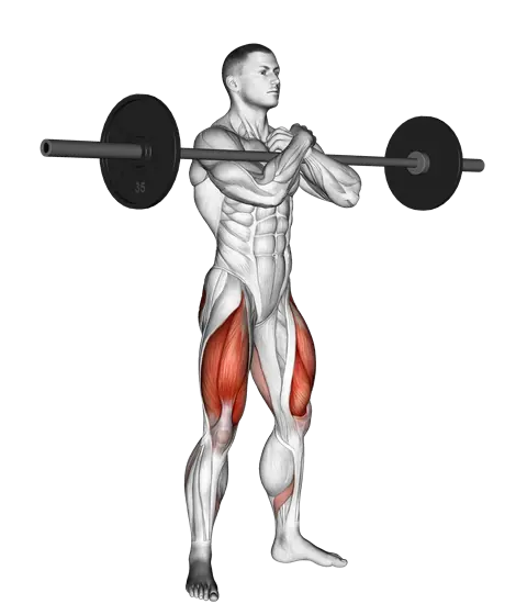 Barbell Zercher Squat — movement illustration 1