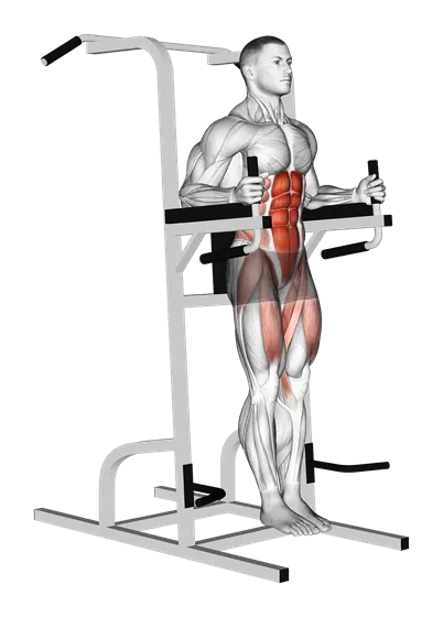 Captains Chair Leg Raise — movement illustration 1