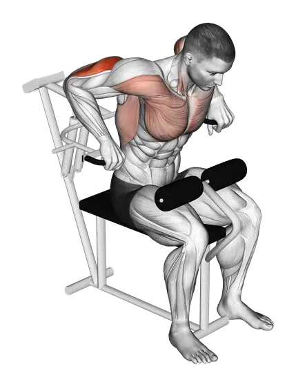 Machine Overhand Triceps Dip — movement illustration 1