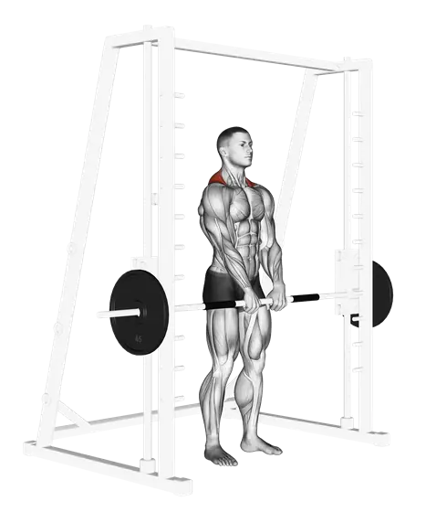 Smith Shrug — movement illustration 1
