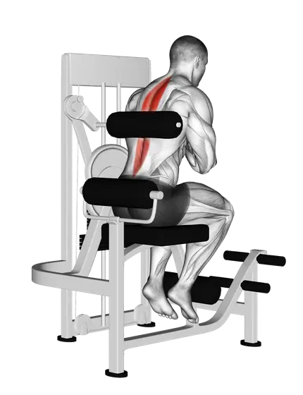 Machine Back Extension — movement illustration 1