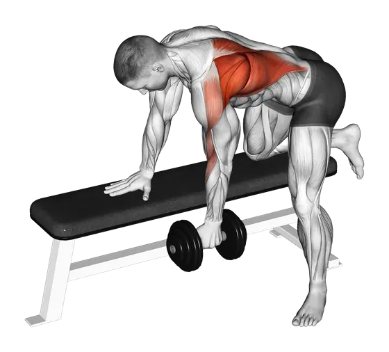 Dumbbell Single-Arm Bent-Over Row — movement illustration 1