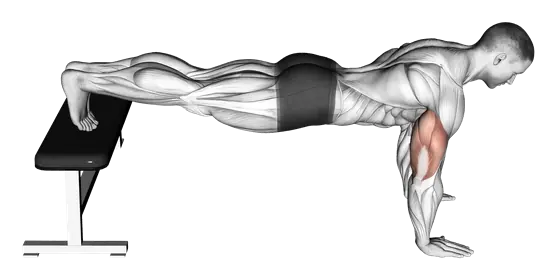 Decline Push-Up — movement illustration 1