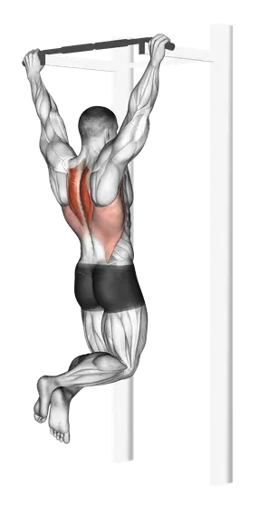 Scapular Pull-Up — movement illustration 1