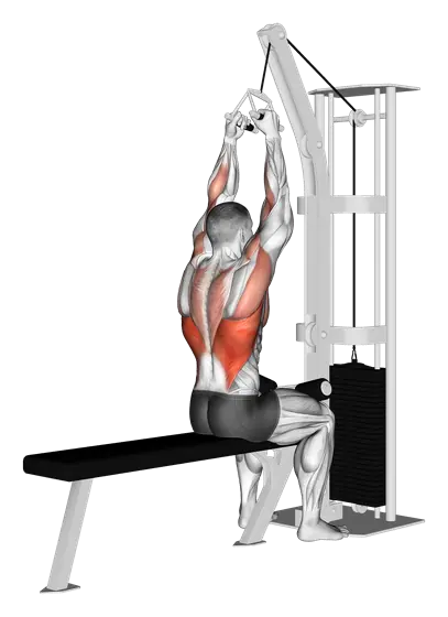 Cable Lateral Pulldown with V-Bar — movement illustration 1