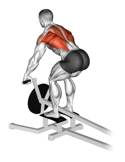 Plate-Loaded T Bar Row — movement illustration 1