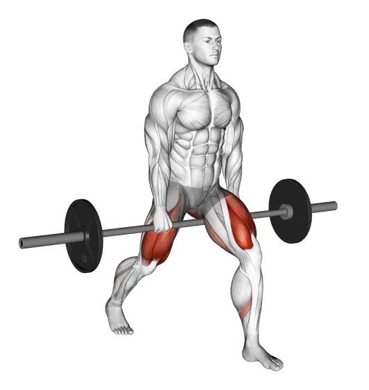 Barbell Split Squat — movement illustration 1