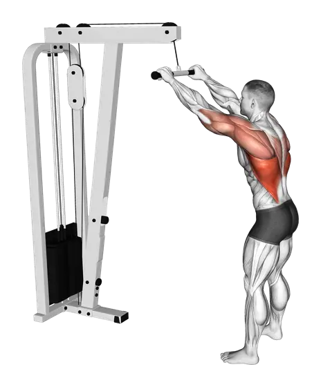 Cable Straight Arm Pulldown — movement illustration 1