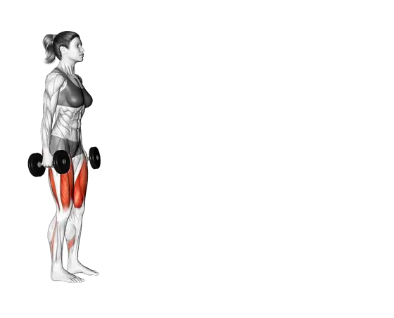 Dumbbell Walking Lunge — movement illustration 1