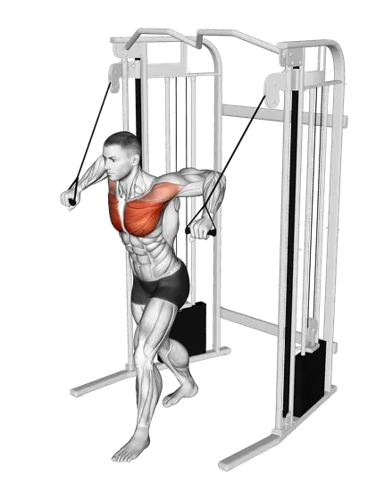 Cable Standing Crossover — movement illustration 1