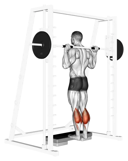 Smith Calf Raise — movement illustration 1