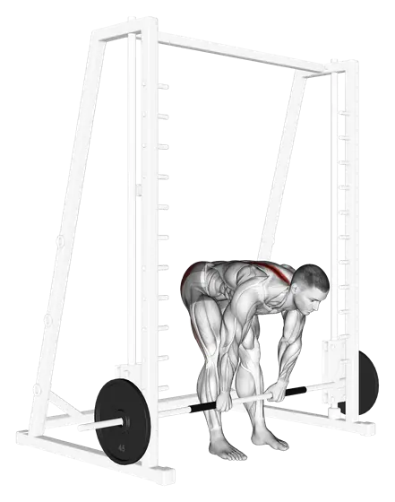 Smith Stiff Legged Deadlift — movement illustration 1