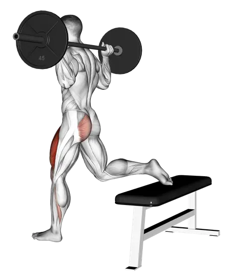 Barbell Single-Leg Squat — movement illustration 1