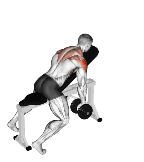 Dumbbell Incline Y-Raise — movement illustration 1