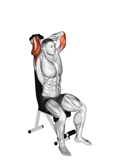 Dumbbell Seated Triceps Extension — movement illustration 1