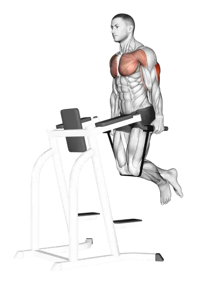 Band-Assisted Dip — movement illustration 1