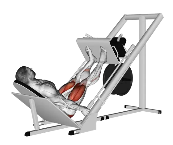 Sled 45-Degree Leg Press — movement illustration 1