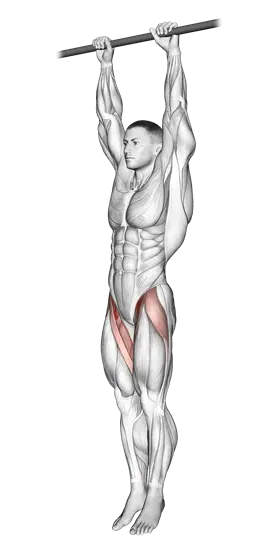Hanging Leg Raise — movement illustration 1