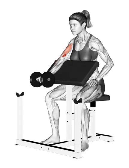 Dumbbell Single-Arm Preacher Curl — movement illustration 1