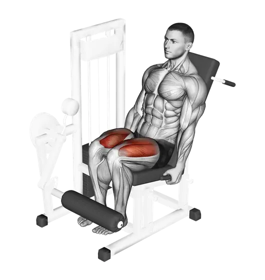 Machine Leg Extension — movement illustration 1