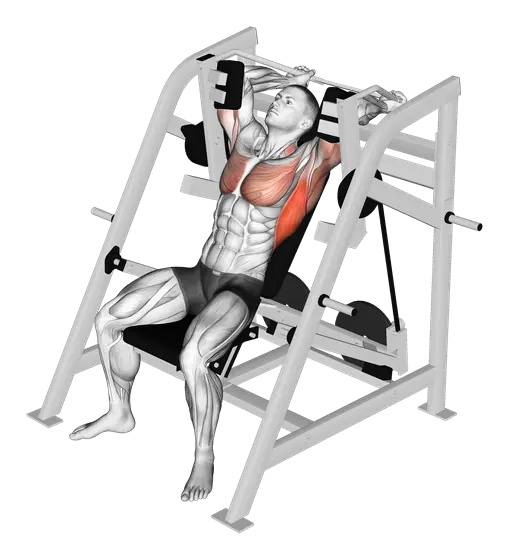 Plate-Loaded Pullover — movement illustration 1