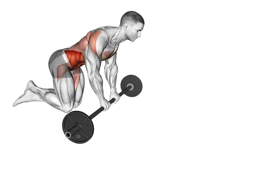 Barbell Rollout — movement illustration 1
