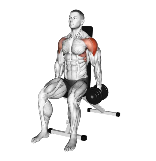 Dumbbell Seated Lateral Raise — movement illustration 1
