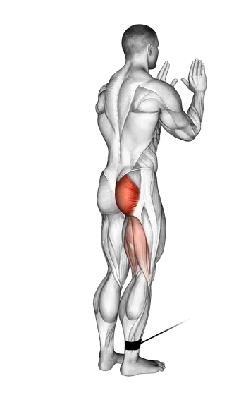 Cable Standing Hip Extension — movement illustration 1