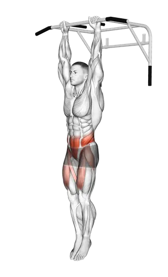 Hanging Knee Raise — movement illustration 1
