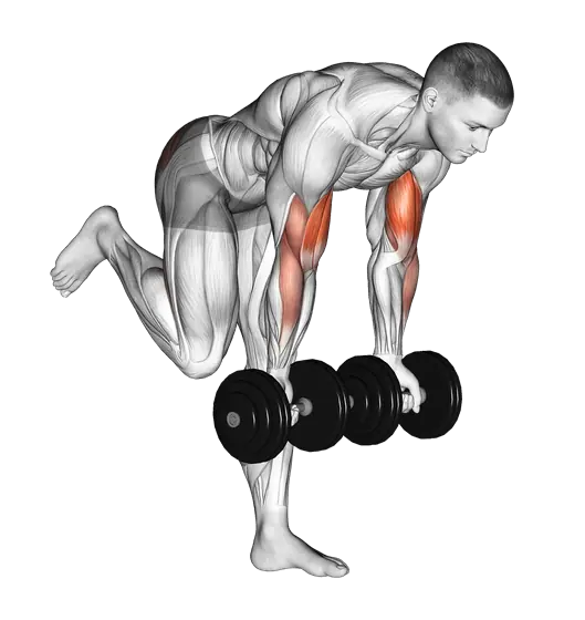 Dumbbell Biceps Curl with Stork Stance — movement illustration 1