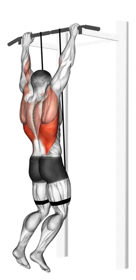 Band-Assisted Pull-Up — movement illustration 1