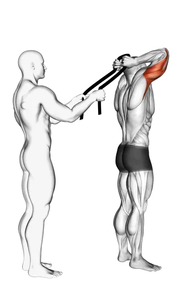 Assisted Standing Triceps Extension (With Towel) — movement illustration 1