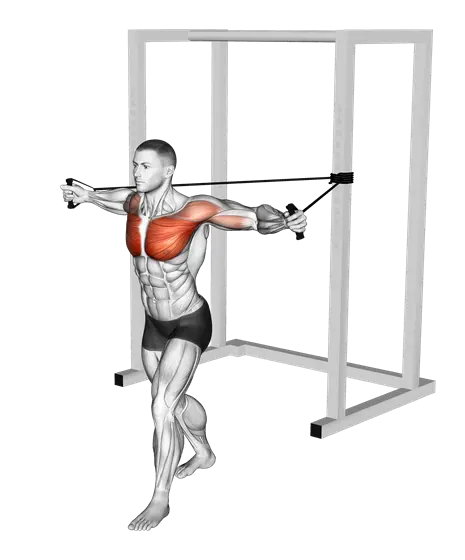 Resistance Band Chest Fly — movement illustration 1
