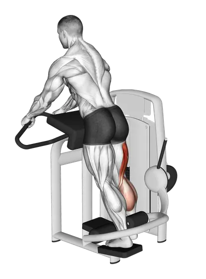 Machine Standing Leg Curl — movement illustration 1